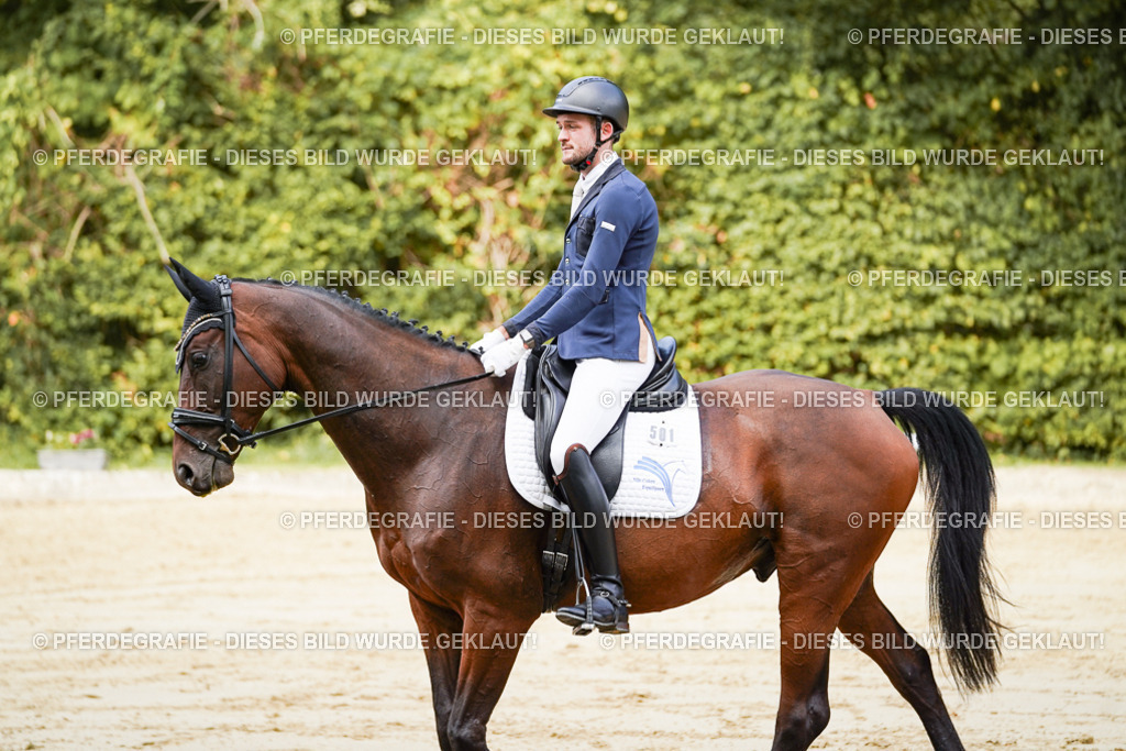 DSC09016 | Pferdegrafie