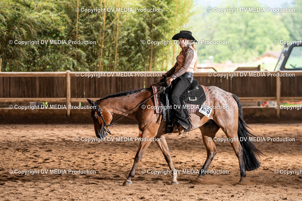 Erbach Tag 1-1057 | dv-media-shop - Realisiert mit Pictrs.com