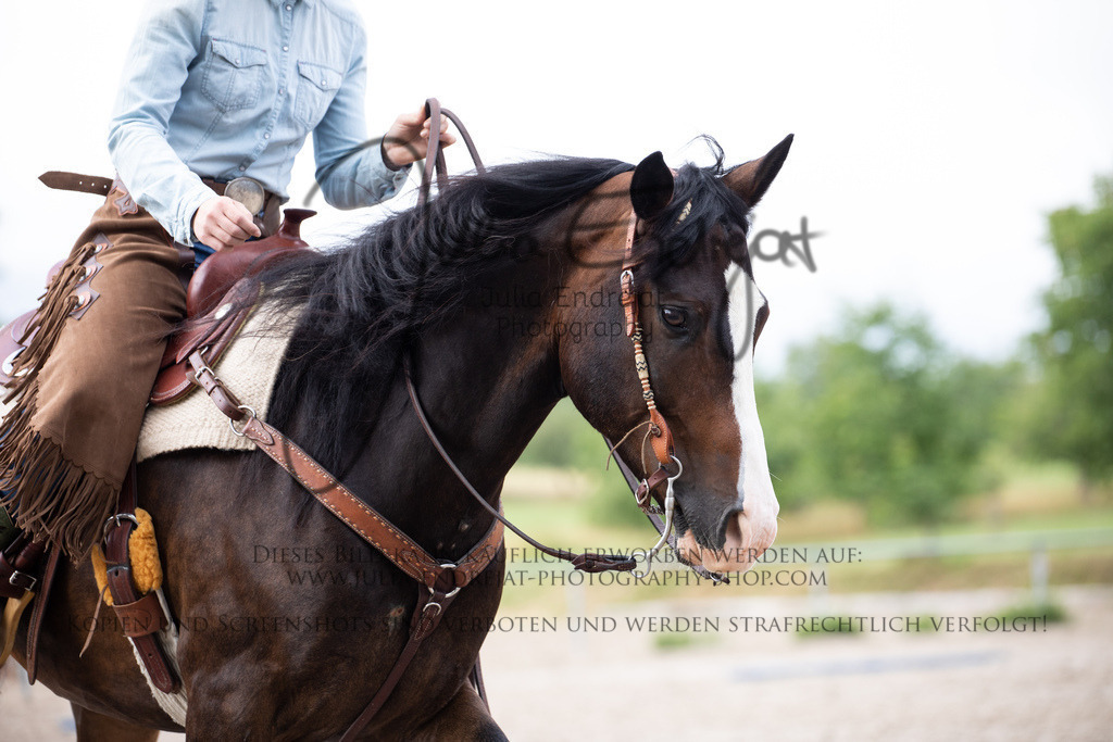 20220701-JuliaEndrejatPhotography-1091 | Julia Endrejat Photography