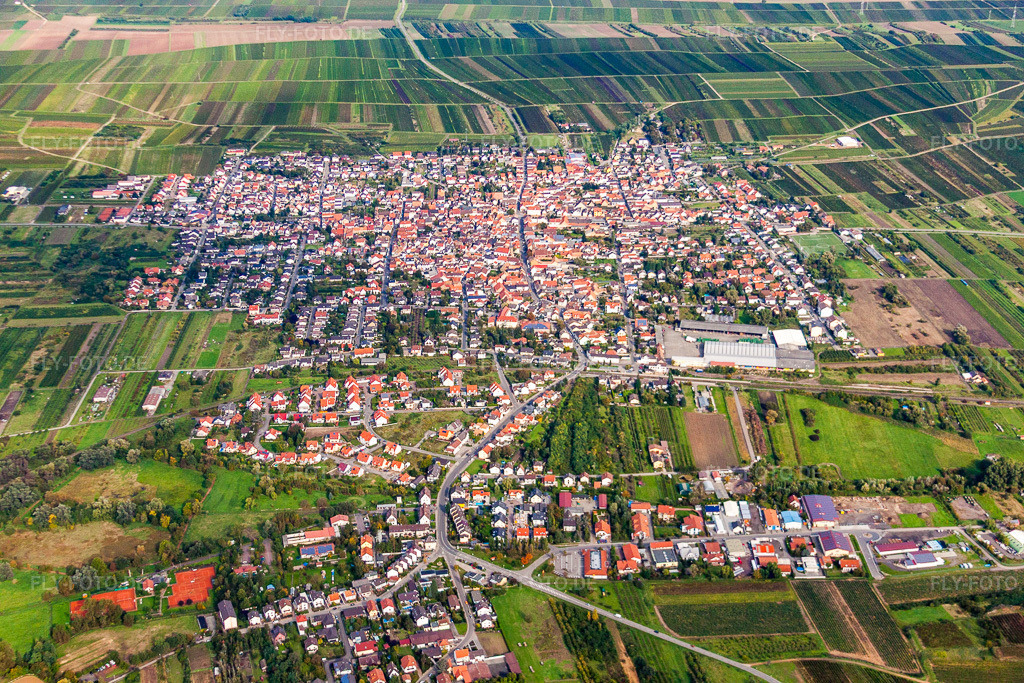 Luftbild: Ortsansicht der Straßen und Häuser der Wohngebiete in Weisenheim am Sand im Bundesland Rheinland-Pfalz in Deutschland. Foto: IMG_34363.jpg vom 03.10.2010 durch Werner Riehm/FLY-FOTO.de