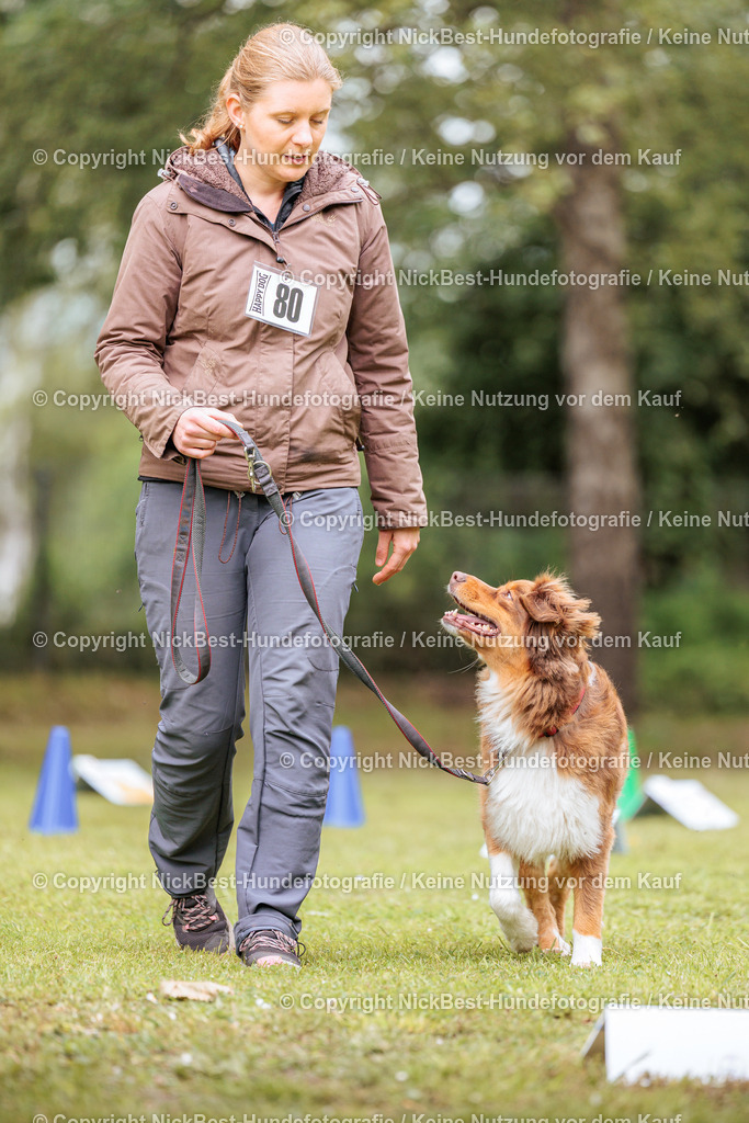 RO-Blumenthal-2026-Nickbest-Hundefotografie-3430 | Dein Hund! Dein Moment! Deine Erinnerungen! Hundefotografie in Bremen Blumenthal. Ich fange die besonderen Momente deines Vierbeiners ein – ob Indoor mit Blitzanlage oder in der freien Natur. Sicher dir dein Moment und dein Termin für eure Erinnerungen.