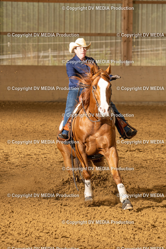 LAU00895 | dv-media-shop - Realisiert mit Pictrs.com