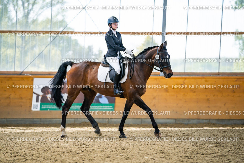 DSC05715 | Pferdegrafie