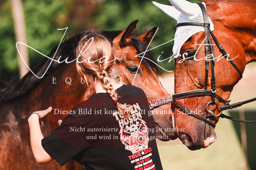 DSC_7387 | Pferde- und Turnierfotografie in Westsachsen. Pferdeportraits, Auftragszeichnungen und intuitive Kunst.