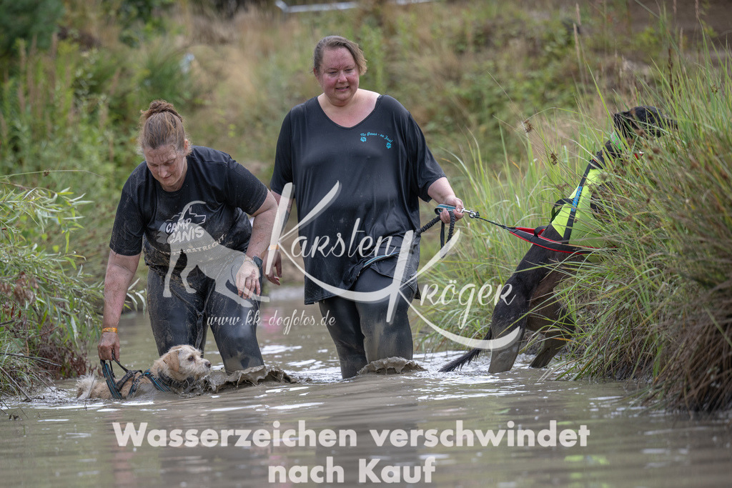 1123_ZZ94851 | kk-dogfotos