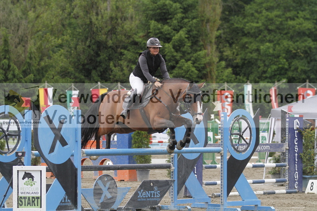 _MG_2100 | equestrian-live-com