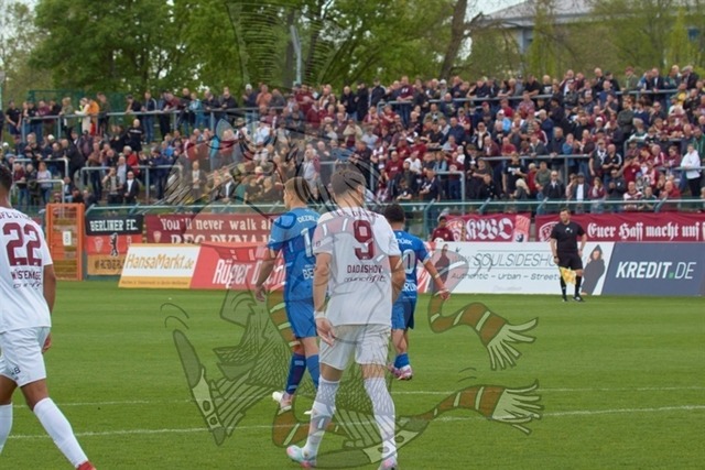 BFC Dynamo vs. VSG Altglienicke 037 | mythos-online-redaktion