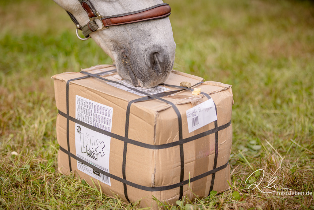 846A2758 | fotosleben - Realisiert mit Pictrs.com