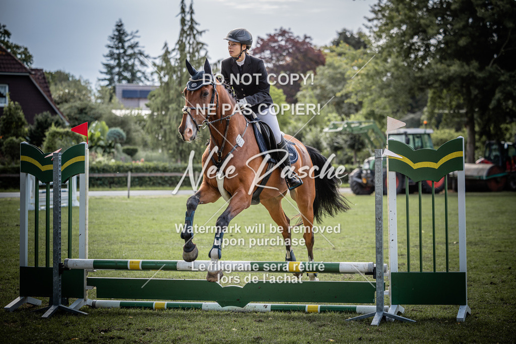nelerasche_Nachtrag60cmEde_79 | nelerasche