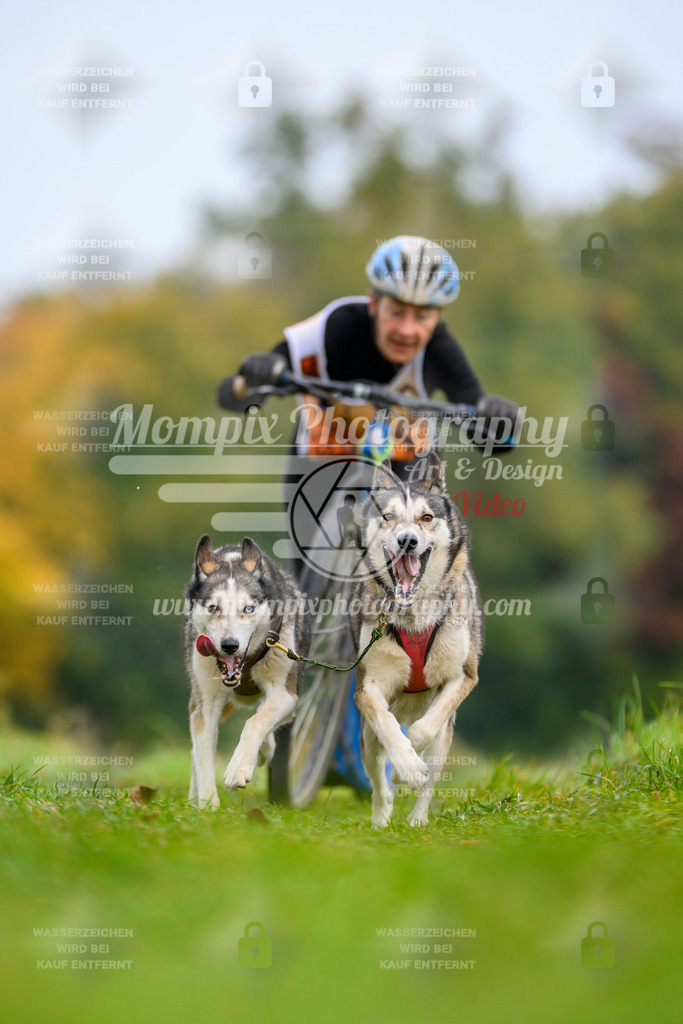 MompixPhotography_CDLBDB2025_DI_DS-21 | PayLife
