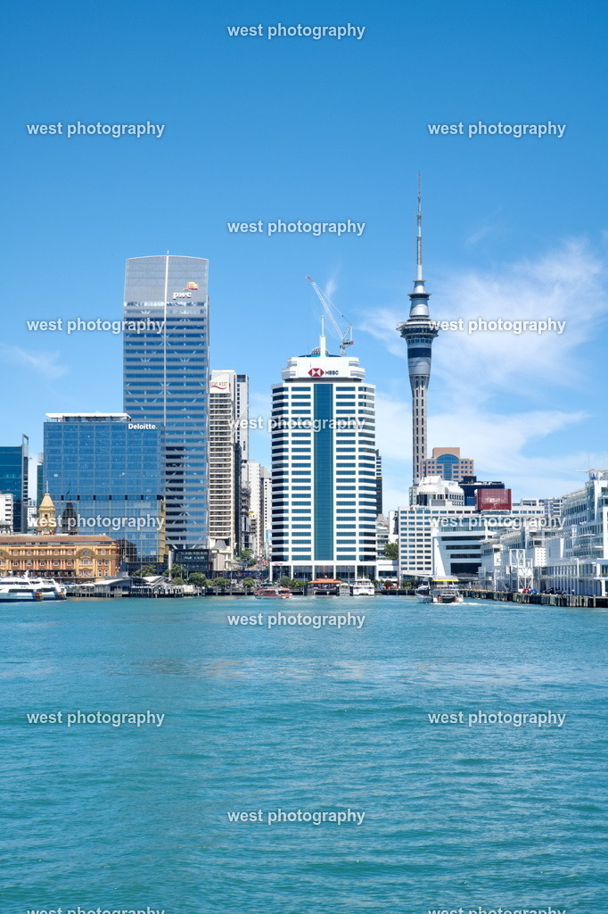 Auckland 2 - NZL 2024 | west photography - Realisiert mit Pictrs.com