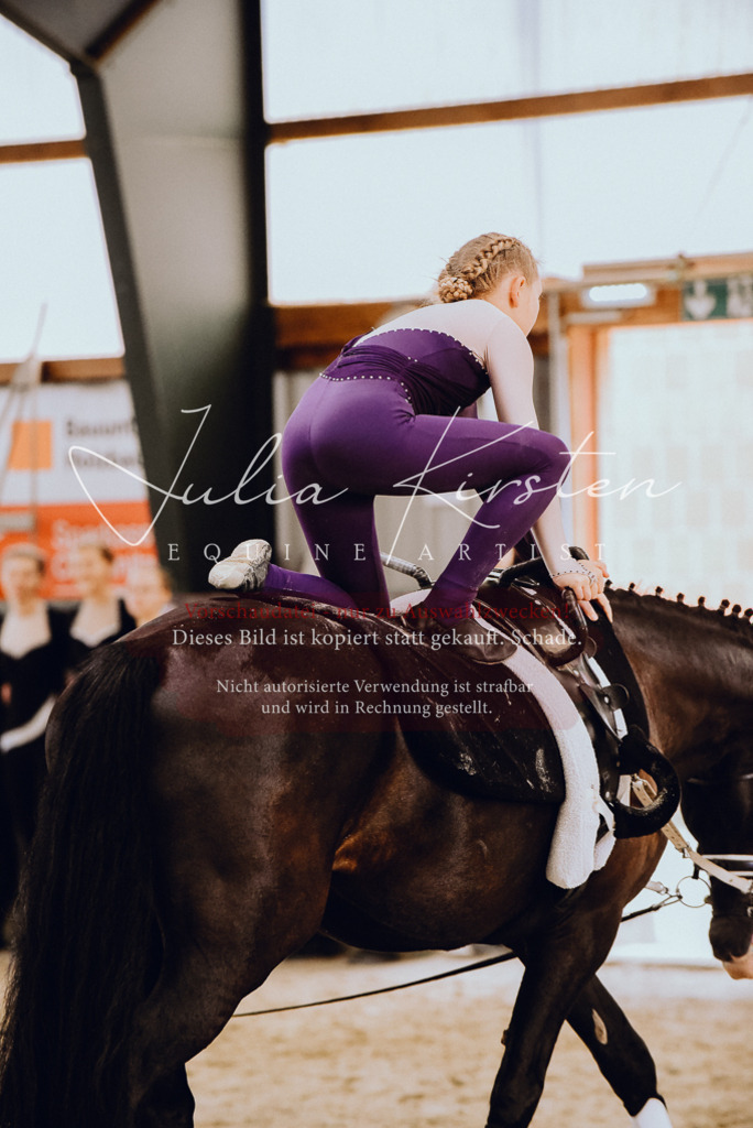 DSC_6882 | Pferde- und Turnierfotografie in Westsachsen. Pferdeportraits, Auftragszeichnungen und intuitive Kunst.