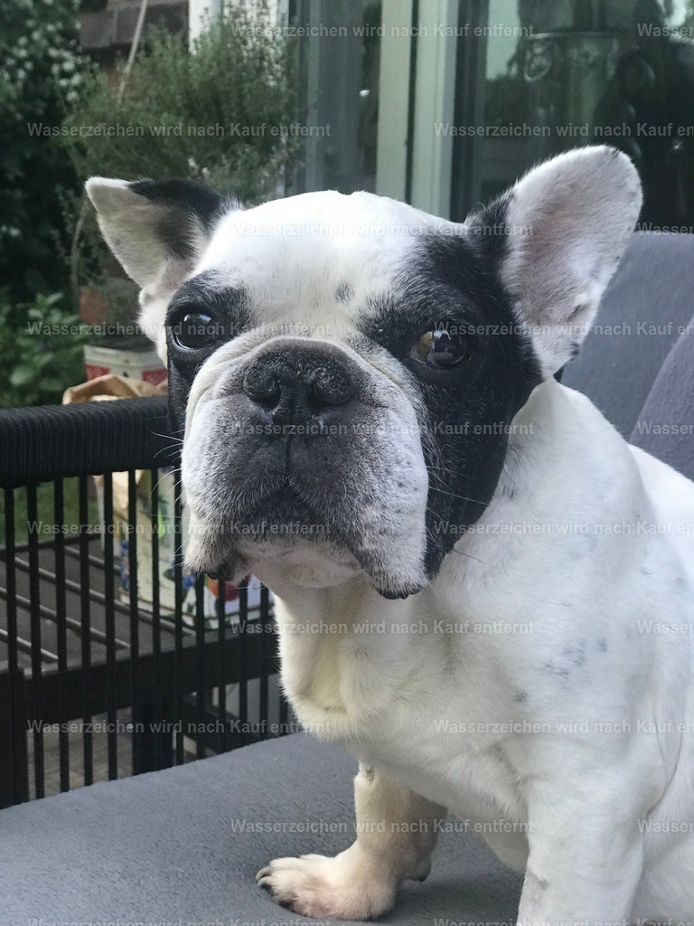 IMG_1342 | heikomoeller - Realisiert mit Pictrs.com