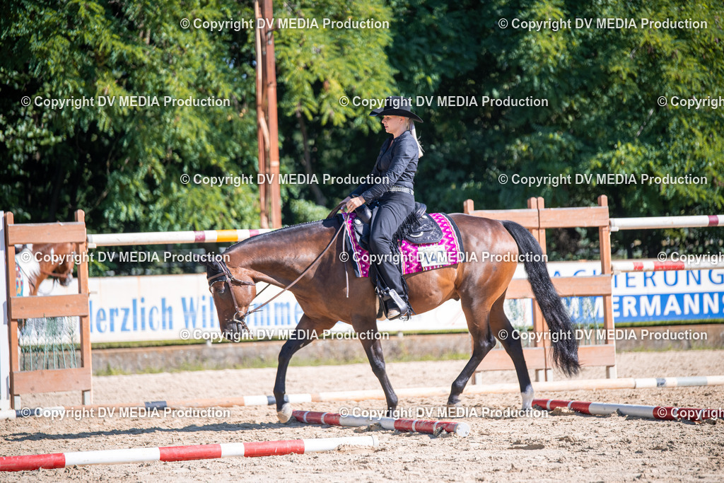 ZS1_0802 | dv-media-shop - Realisiert mit Pictrs.com