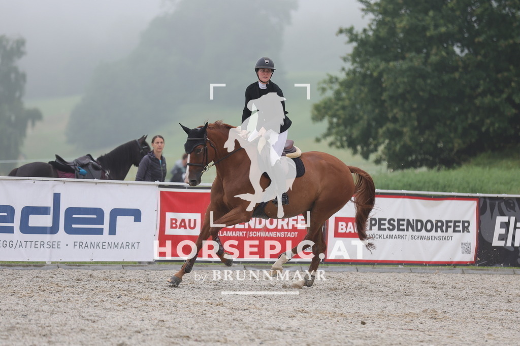 0P6A0011 | Willkommen bei Brunnmayr - Design & Fotografie – Ihrem Spezialisten für Reitturniere und Pferdeveranstaltungen in Oberösterreich, Salzburg und Bayern! Seit über 17 Jahren sind wir leidenschaftlich dabei.