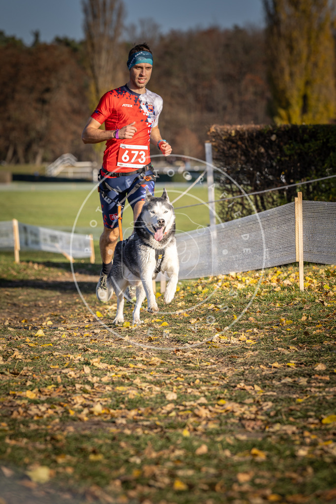 CaniXpix_DV3A0920 | Hundefotografie, Tierfotograf, Pfotenfotografie, Fotoshooting Hund, Hunde Portrait, Hundesport, Hundeportraits, Heideshooting, Hunde, Sportfotograf, Hundefotograf, Turnierhundsport, THS,  - Realisiert mit Pictrs.com