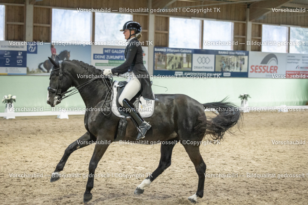 _D5A7105 | Emotionale Pferde- & People-Fotografie rund um Heidelberg, Leimen & Umgebung. Natürliche Fotos von Pferd, Mensch & Familie. Jetzt Termin sichern!