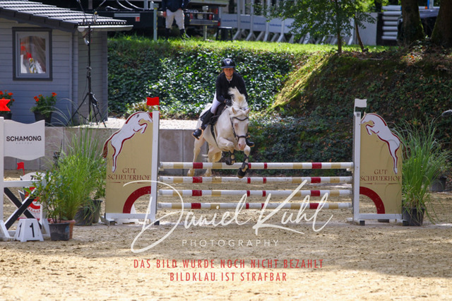 DKP40487 | Turniersportfotografie; Pferdefotografie; Dressurfotografie