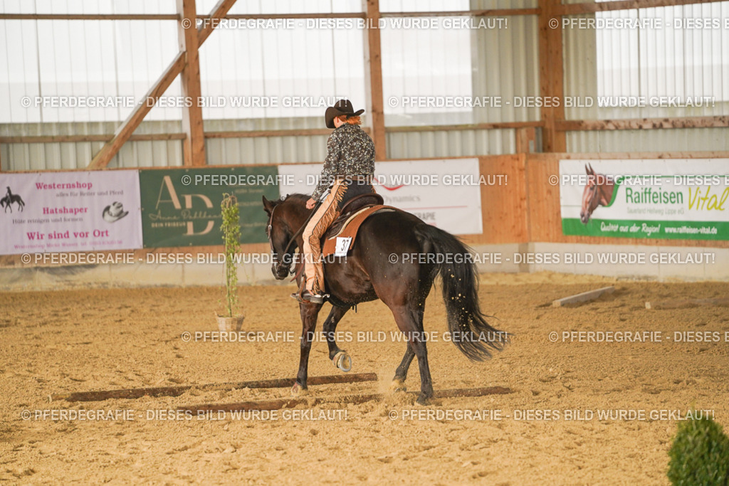 DSC01899 | Pferdegrafie