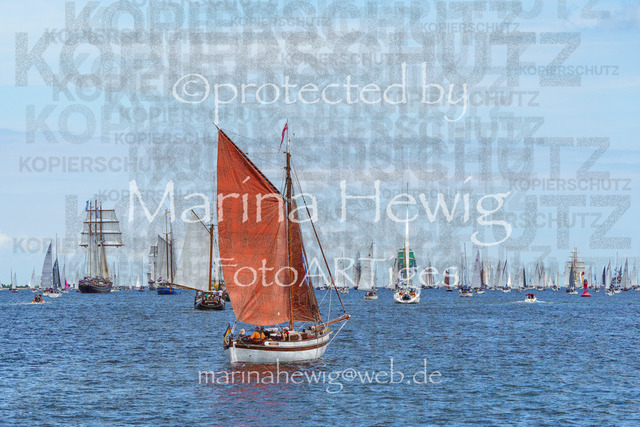 Windjammer24_MarinaHewig-4673 | Fotografie, FotoArt, PferdesportArt, Pferdesportfotografie, Landschaftsfotografie, Reisefotografie, Reise, Pferde - Realisiert mit Pictrs.com