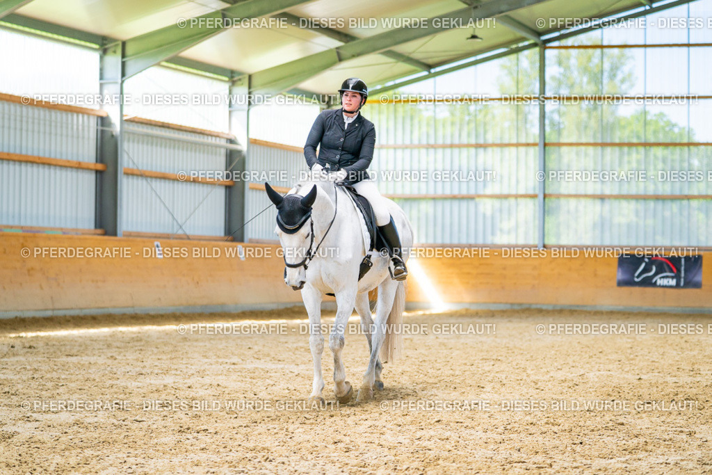 DSC07891 | Pferdegrafie