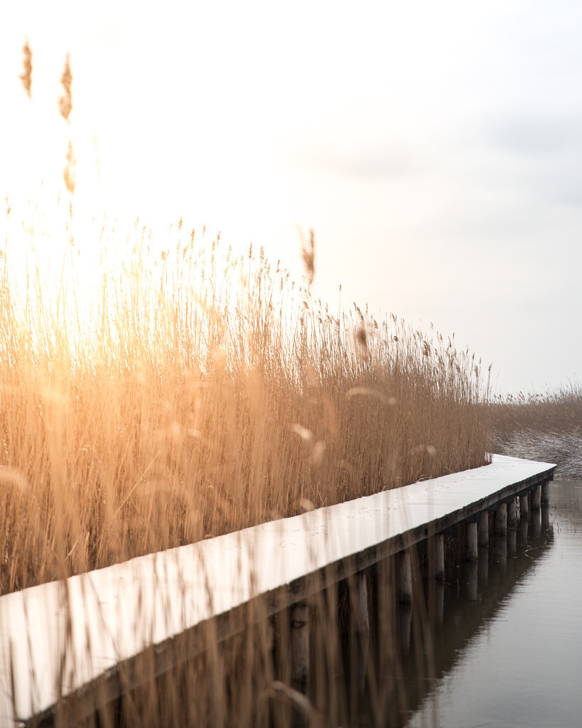 Roman-Huditsch-Fotografie_059 | Exklusiver Webshop für hochwertige Landschaftsfotos aus Kärnten, Österreich und der ganzen Welt.
Landschaftsfotos auf Leinwand, Acrylglas, Aludibond
Wandbilder online kaufen, fürs Zuhause oder als Geschenk zum Geburtstag, Weihnachten und mehr - Realisiert mit Pictrs.com