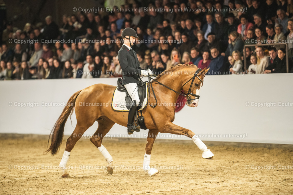 20240302_Hengstvorstellung_Marbach_TOMsPiC_0584 | equistock