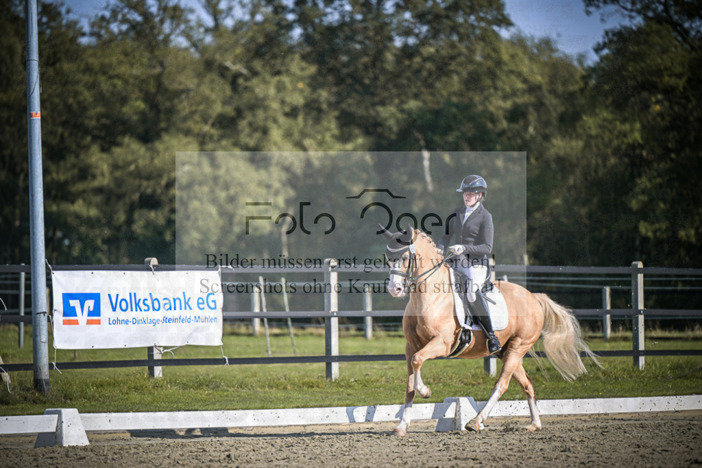 DOS_2209 | Entdecke hochwertige Reitturnierfotos von Foto Oger. Professionell, emotional und authentisch – jetzt Lieblingsmomente im Shop bestellen.Deutschlandweite Turnierfotografie. - Realisiert mit Pictrs.com