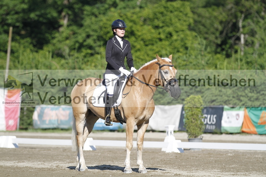 _MG_0498 | equestrian-live-com