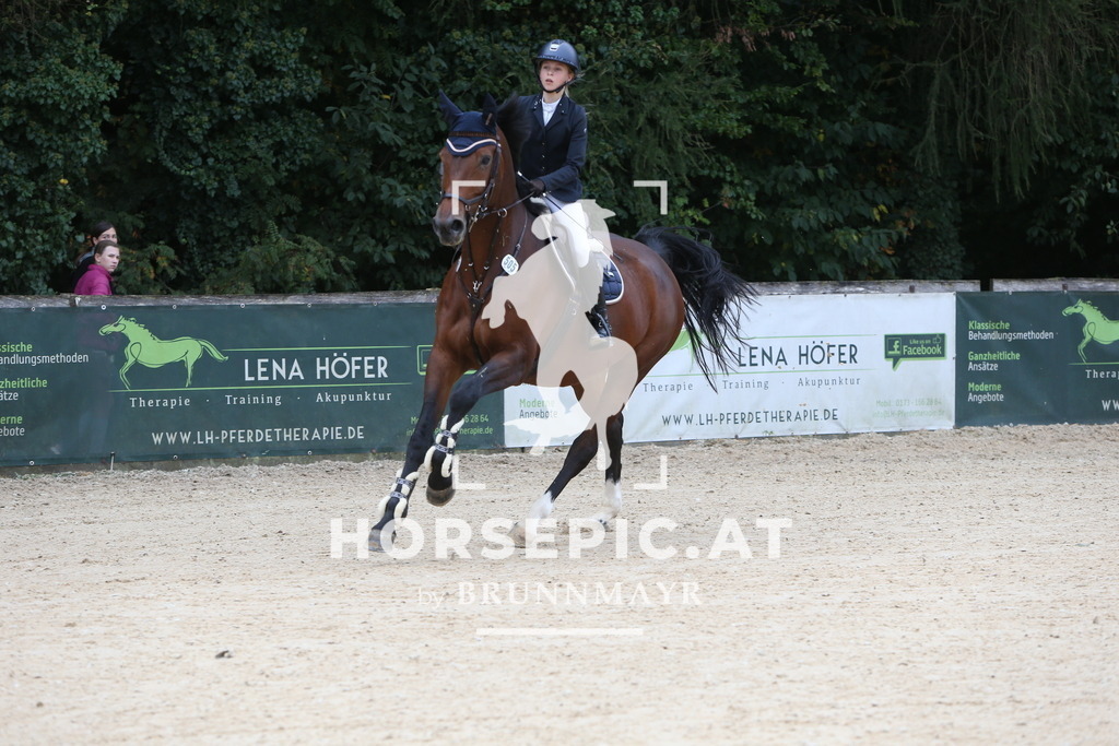 DL2Q0488 | Willkommen bei Brunnmayr - Design & Fotografie – Ihrem Spezialisten für Reitturniere und Pferdeveranstaltungen in Oberösterreich, Salzburg und Bayern! Seit über 17 Jahren sind wir leidenschaftlich dabei.