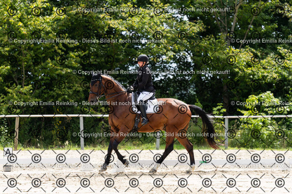 CL5A6571 | Emilia Reinking Fotografie - Realisiert mit Pictrs.com