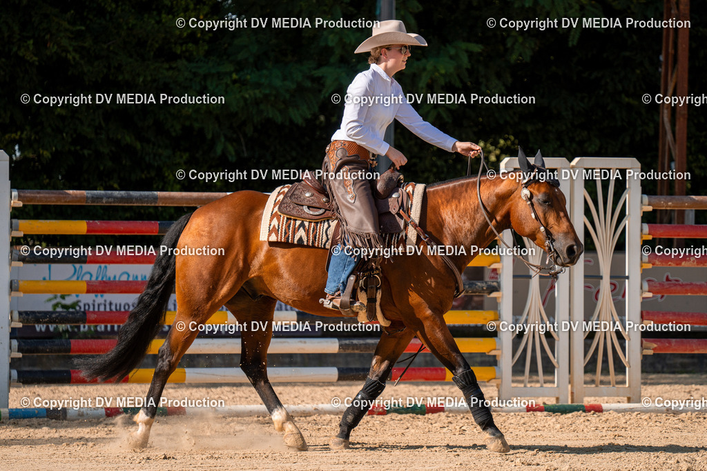 ZH100756 | dv-media-shop - Realisiert mit Pictrs.com