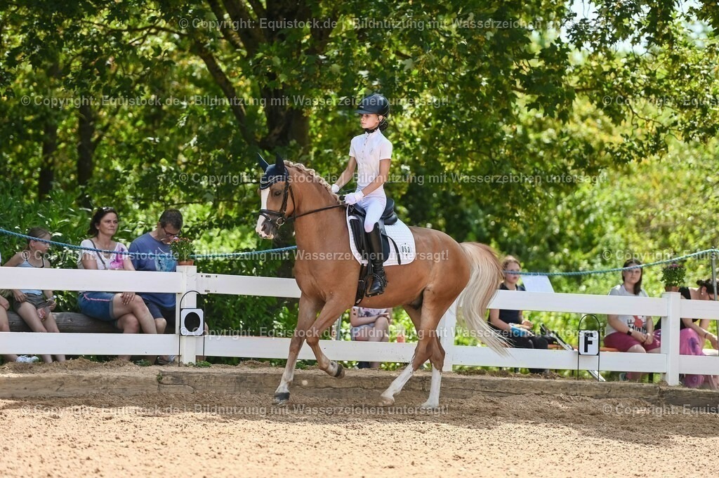 20230715_09_Dressur-WB_0279 | equistock