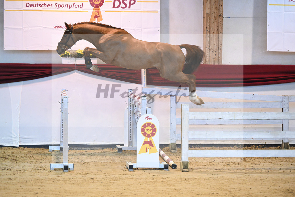 Kat-Nr. 101 Hernandez de la Cigale Z_Roedl_66221294 | hf-fotografie - Realisiert mit Pictrs.com