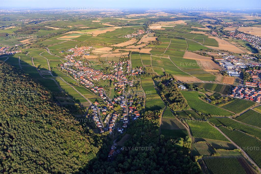 Luftbild: Ortsansicht von Westen im Ortsteil Pleisweiler in Pleisweiler-Oberhofen im Bundesland Rheinland-Pfalz in Deutschland. Foto: IMG_123230.jpg vom 30.09.2020 durch Werner Riehm/FLY-FOTO.de