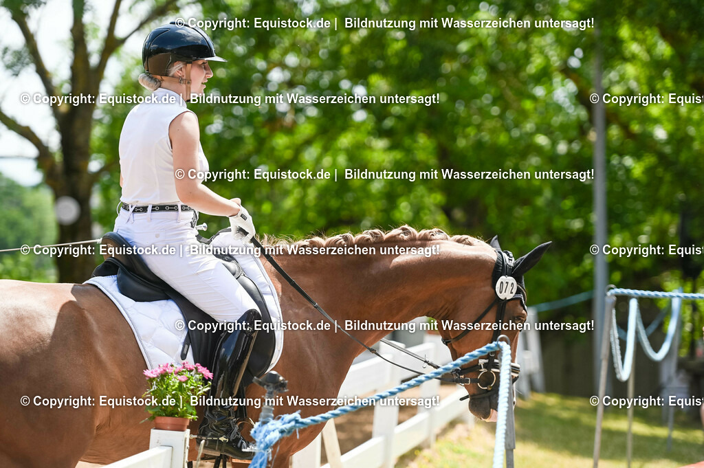 20230716_03_Dressurprfg. Kl.L - Tr._0554 | equistock