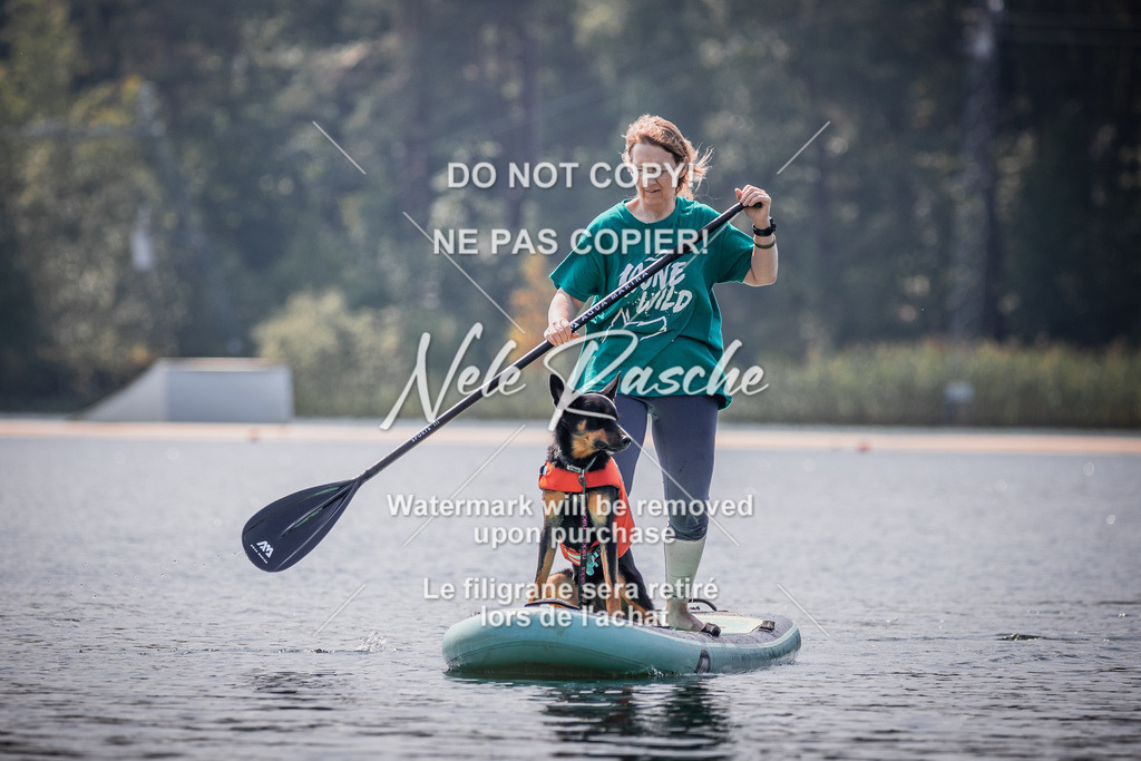 BUHU_SUP_560 | nelerasche