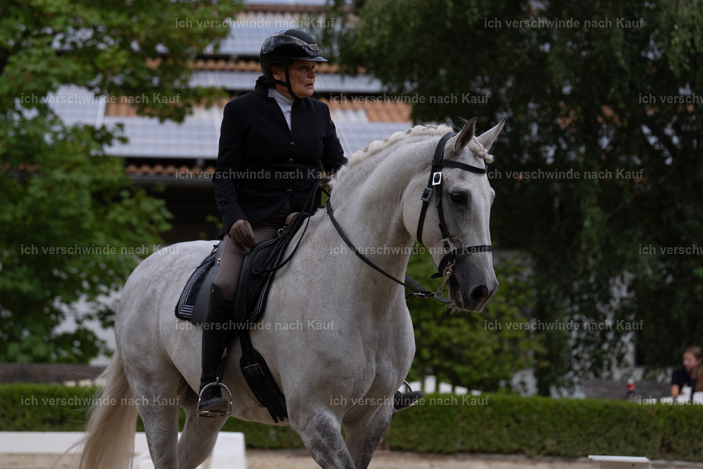 WS_DR_43_sinafilmart_IN01354 | working equitationturnier fotograf videograf stoibphotography marixx film working equitation deutschland reitsport turnierfotografie eventfotografie equestrian events