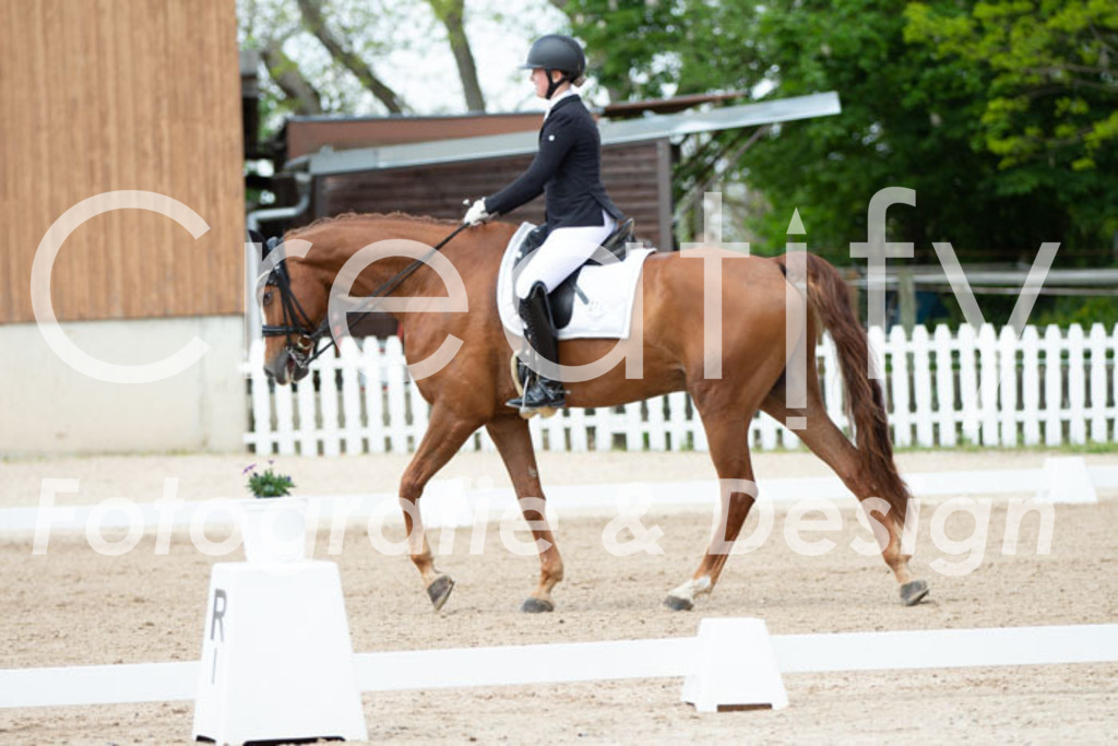 IMG_6237 | Creatify Fotografie