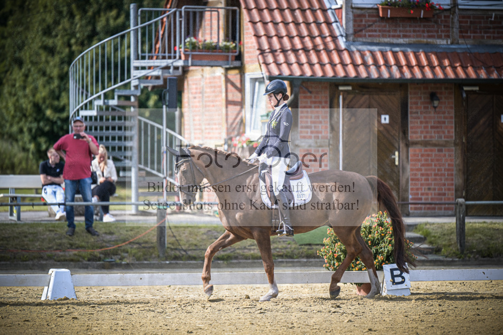 DOS_9560 | Entdecke hochwertige Reitturnierfotos von Foto Oger. Professionell, emotional und authentisch – jetzt Lieblingsmomente im Shop bestellen.Deutschlandweite Turnierfotografie. - Realisiert mit Pictrs.com