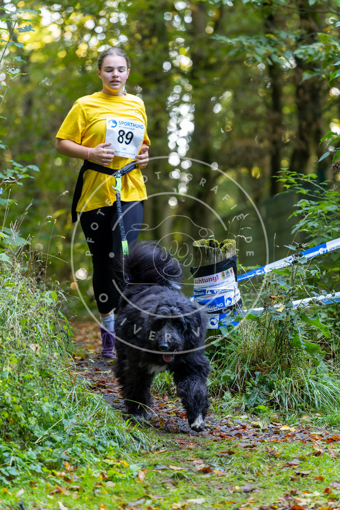 Pfotenfotografie_DV3A7680 | Hundefotografie, Tierfotograf, Pfotenfotografie, Fotoshooting Hund, Hunde Portrait, Hundesport, Hundeportraits, Heideshooting, Hunde, Sportfotograf, Hundefotograf, Turnierhundsport, THS,  - Realisiert mit Pictrs.com