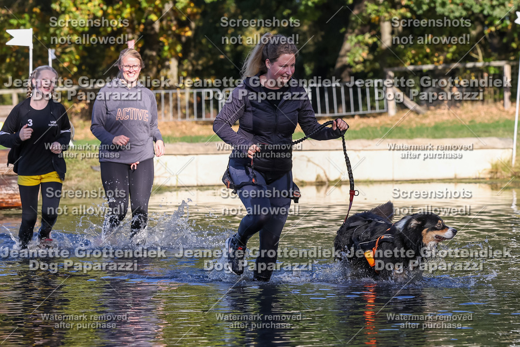 Dog Paparazzi - Strongdog 10-25-8853 | Dog Paparazzi Jeanette Grottendiek Fotografie & Videografie - Realisiert mit Pictrs.com