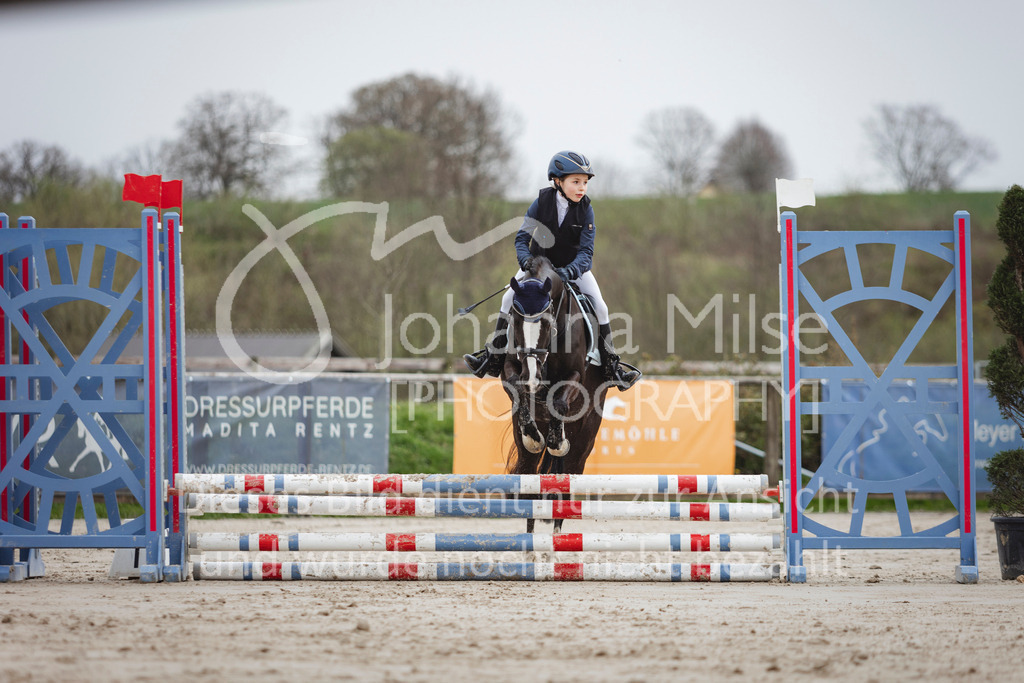 240330_Fruehlingsfest_Stilspring-WB-557 | Deine schönsten Turniermomente als professionelle Fotos! Entdecke hochwertige Pferdesport-Fotografie im Online-Shop. Jetzt Fotos finden & bestellen!