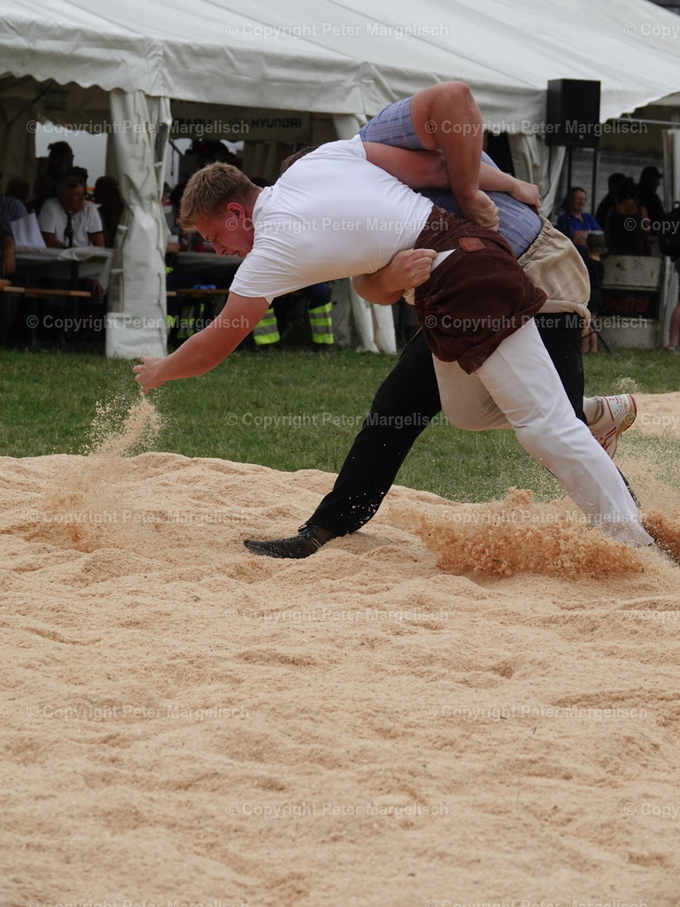 DSC05142 | Schwingen - Realisiert mit Pictrs.com