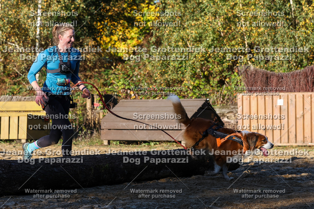 Dog Paparazzi - Strongdog 10-25-1184 | Dog Paparazzi Jeanette Grottendiek Fotografie & Videografie - Realisiert mit Pictrs.com