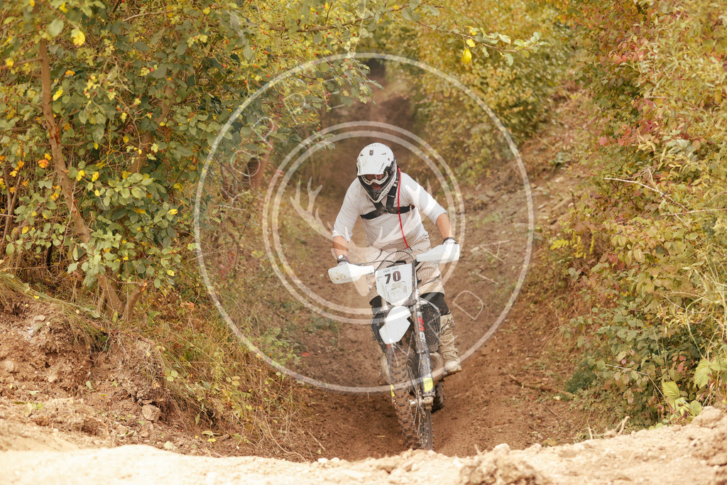 IgeLauf4-1014 | koppe-media