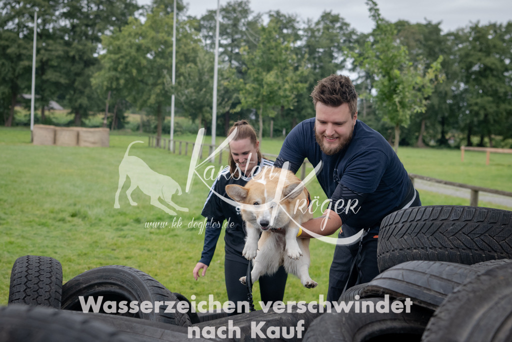 1242_ZZ91963 | kk-dogfotos