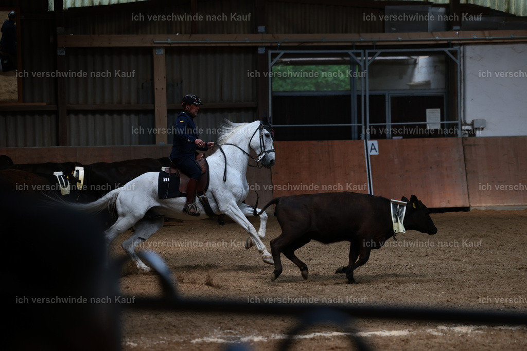 Masterclass_stoibphotography_C2_L7443.JPG | working equitationturnier fotograf videograf stoibphotography marixx film working equitation deutschland reitsport turnierfotografie eventfotografie equestrian events