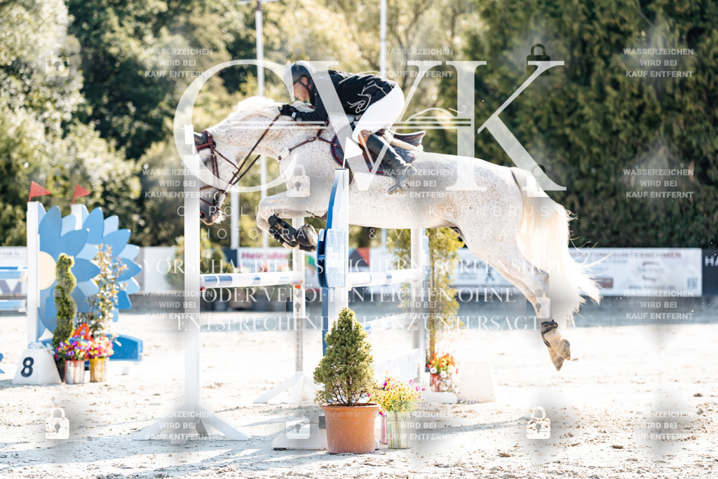 CK901982 | Turnierfotografie Pferdefotografie Trier Rheinland-Pfalz Pferdesport Reitsport Tierfotografie Sportfotografie Pferdevideo Pferdevideografie Equestrianvideography equestrianphotography  - Realisiert mit Pictrs.com