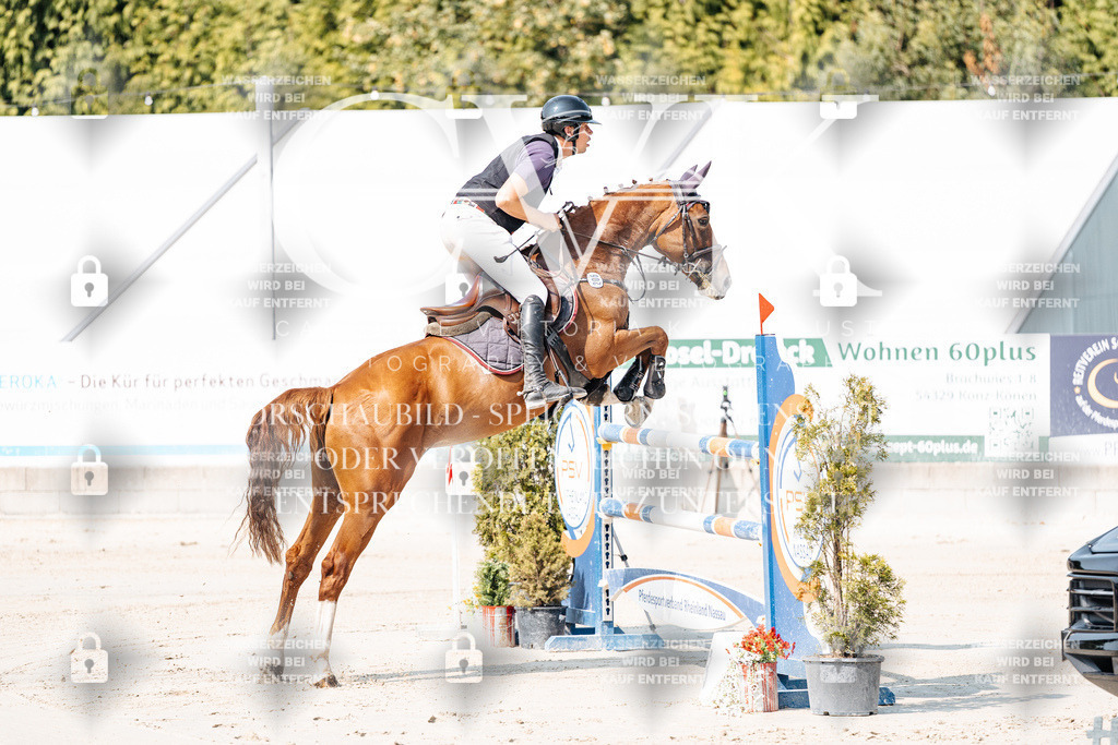 CK901967 | Turnierfotografie Pferdefotografie Trier Rheinland-Pfalz Pferdesport Reitsport Tierfotografie Sportfotografie Pferdevideo Pferdevideografie Equestrianvideography equestrianphotography  - Realisiert mit Pictrs.com